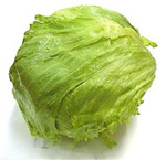 head of iceberg lettuce safe