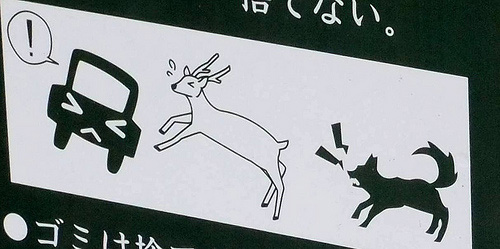 beware deer sign