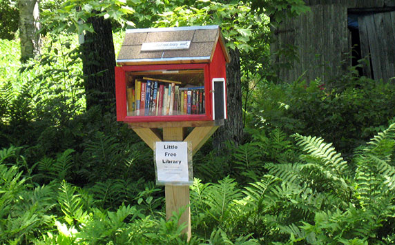 little free library red