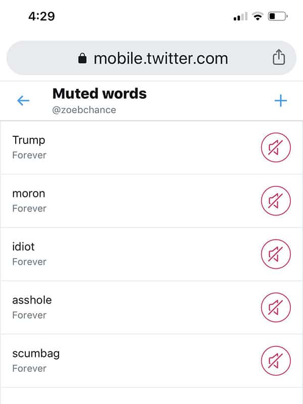 muted twitter words