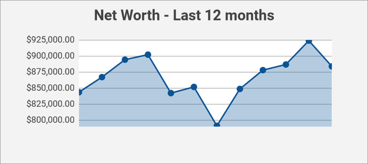 net worth - past 12 months