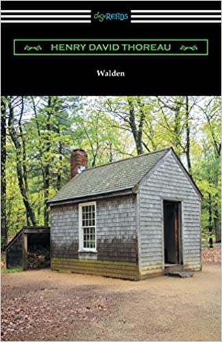 walden video game